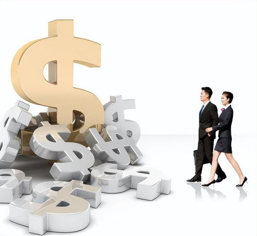 市政機(jī)構(gòu)合作ppp模式,提高工程投資效益,工程投資風(fēng)險(xiǎn)策略分析