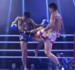 中國散打團力克七位泰拳王，魅力無法擋